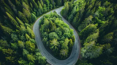 The Intersection of Open Source and Sustainable Tech