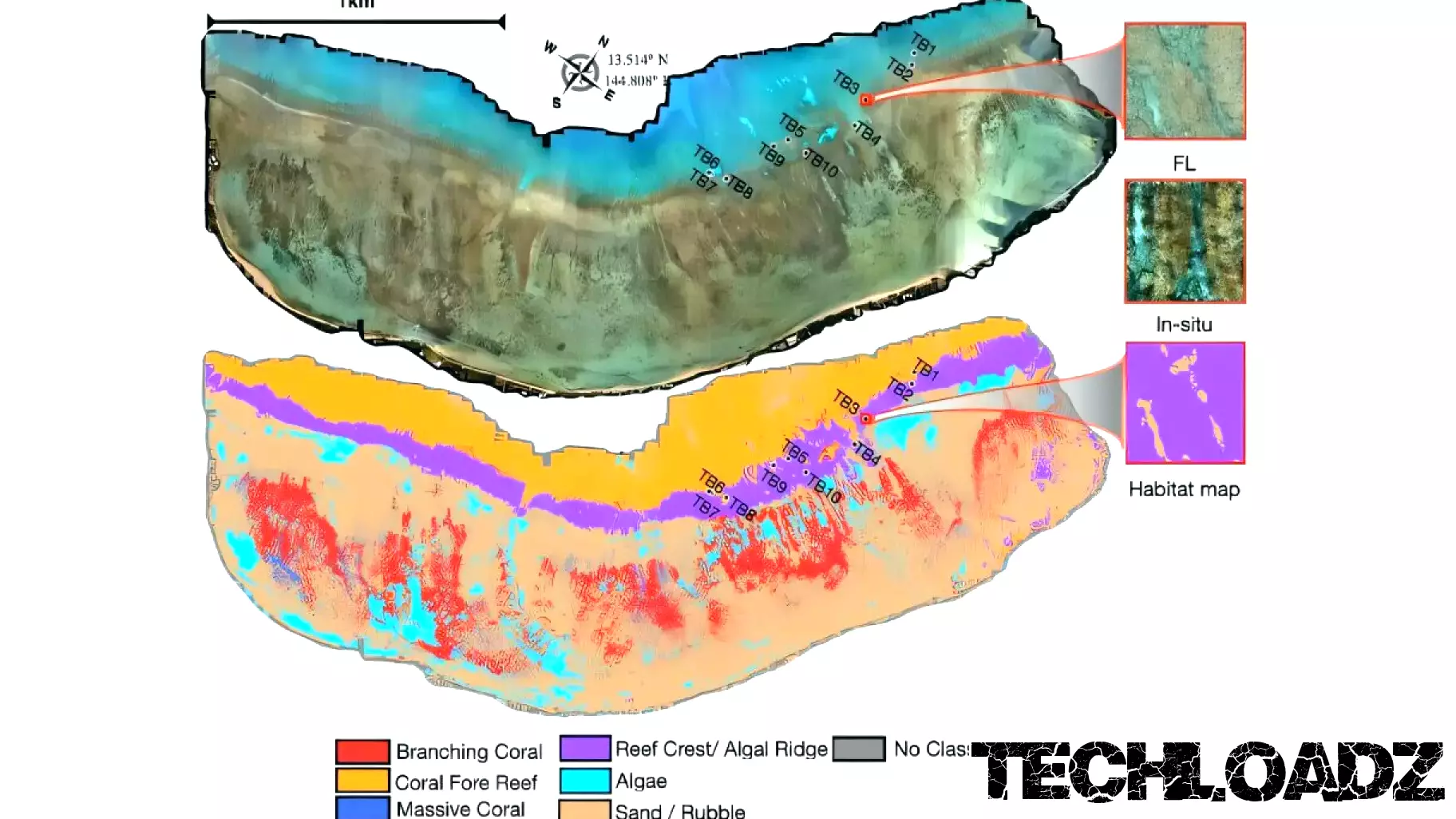 Advanced Imaging Tools Change How Scientists Track Coral Reef Health