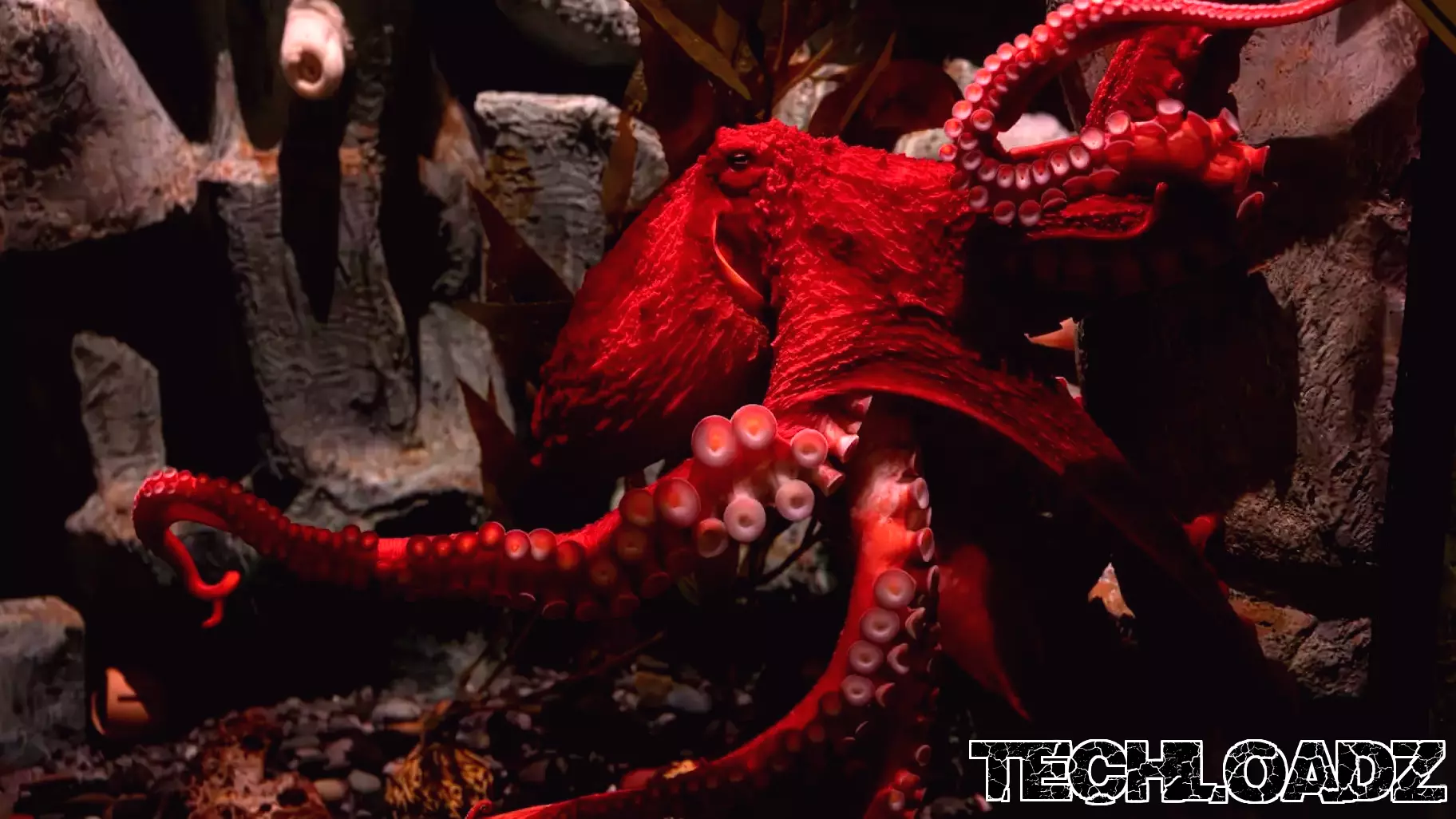 Advancements in Cloaking Technology: Synthetic Skin Inspired by Octopuses