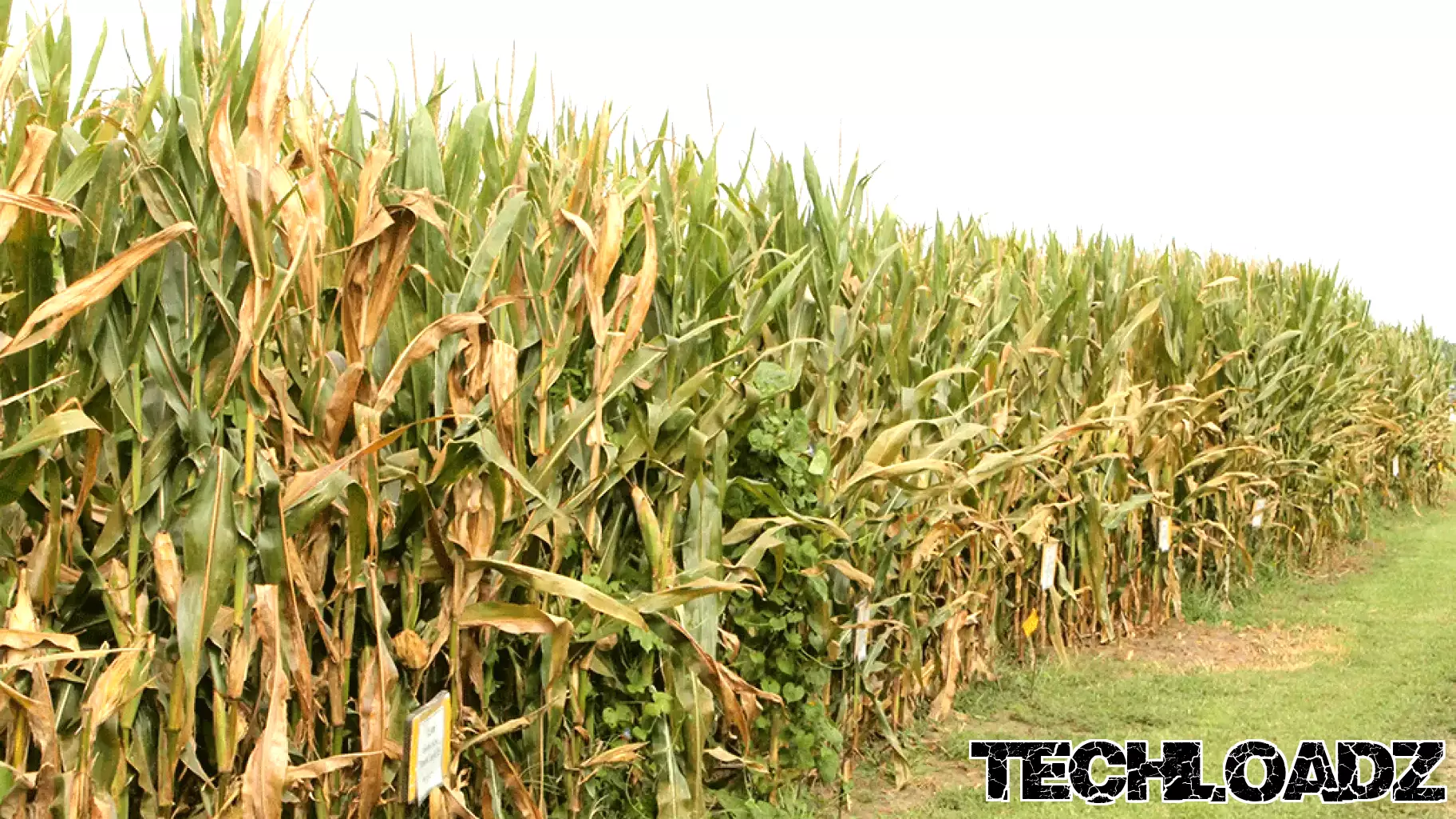 Ag technology continues to refine inputs