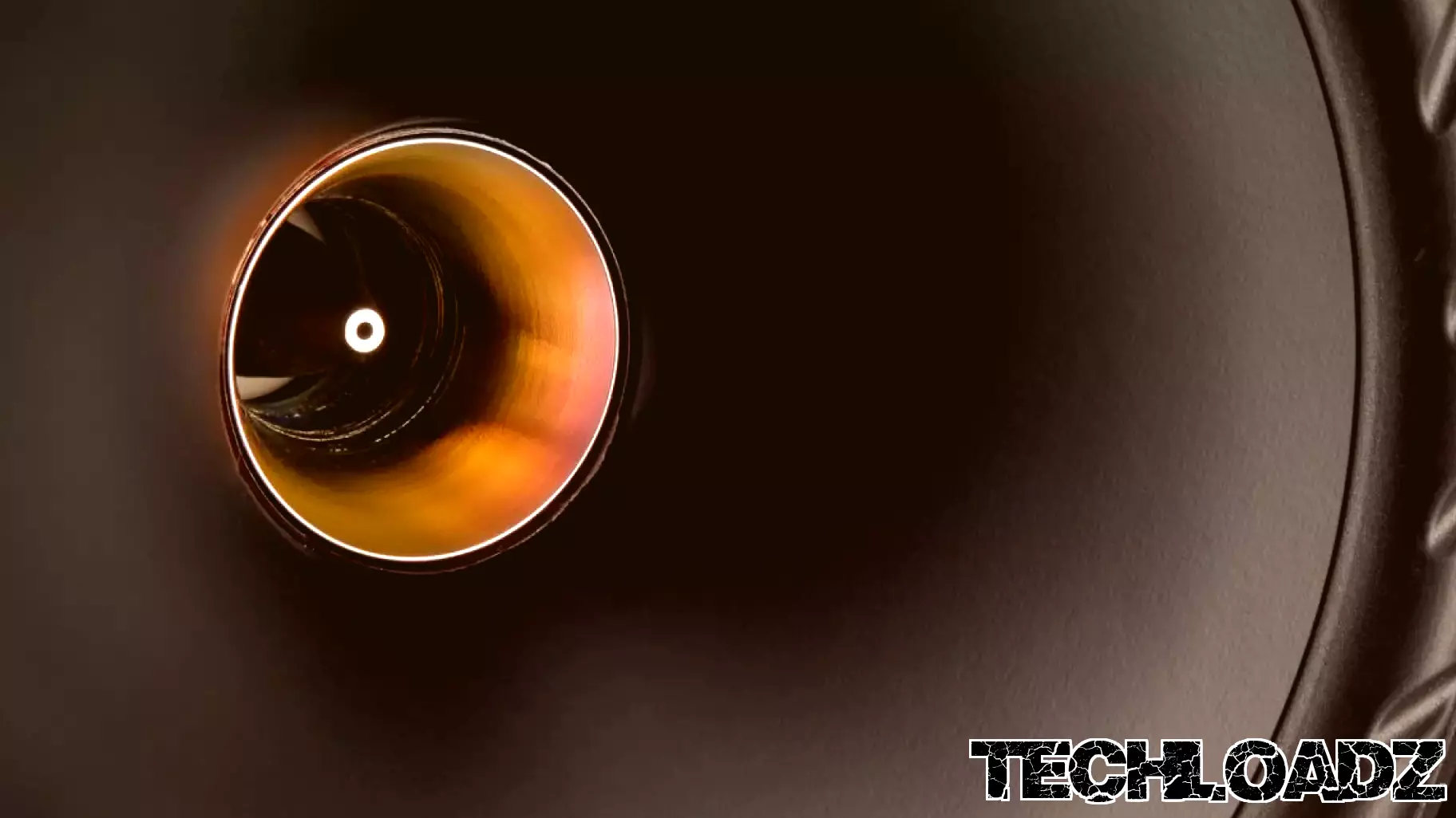 Bookshelf speakers put the tweeter in the throat of the driver cone