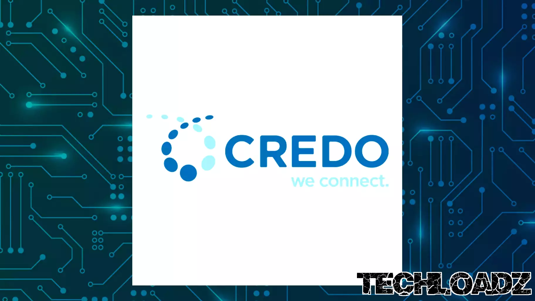Braun Stacey Associates Inc. Sells 27,795 Shares of Credo Technology Group Holding Ltd. $CRDO