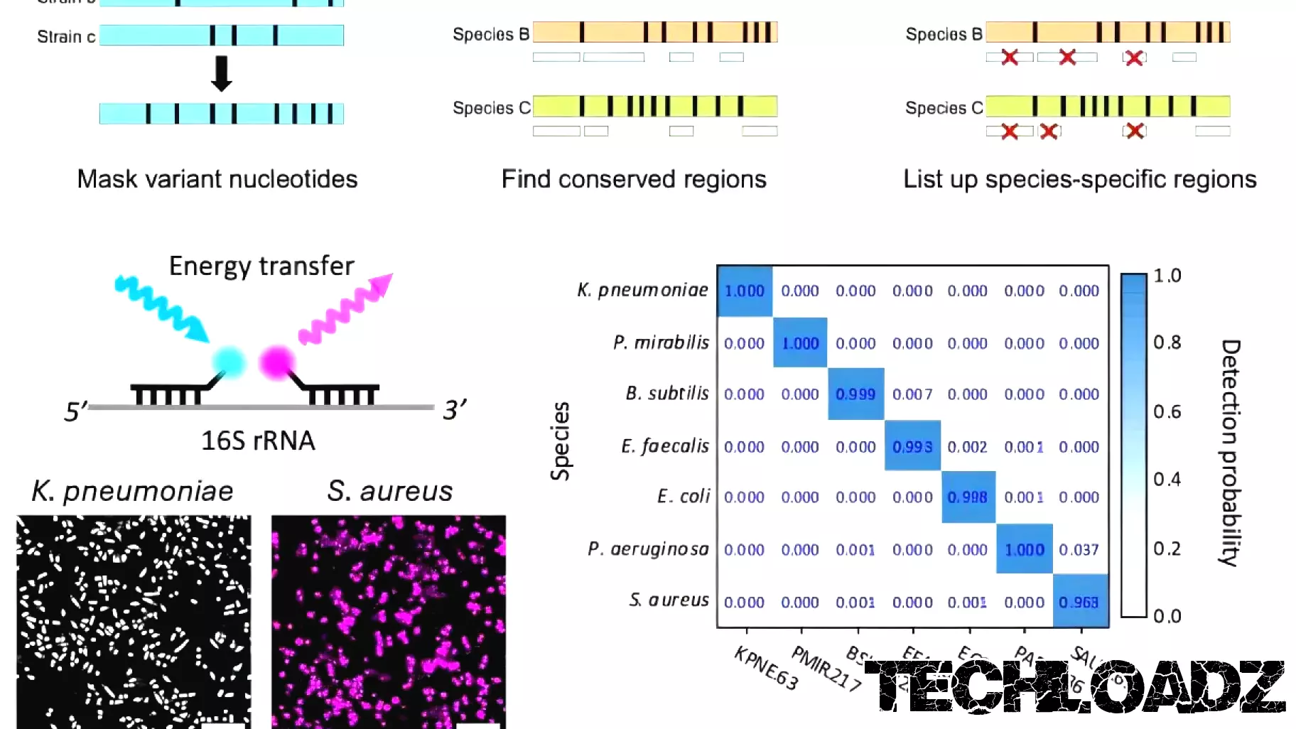 Breakthrough Diagnostic Technology Offers Rapid Pathogen Identification with Near-Perfect Accuracy