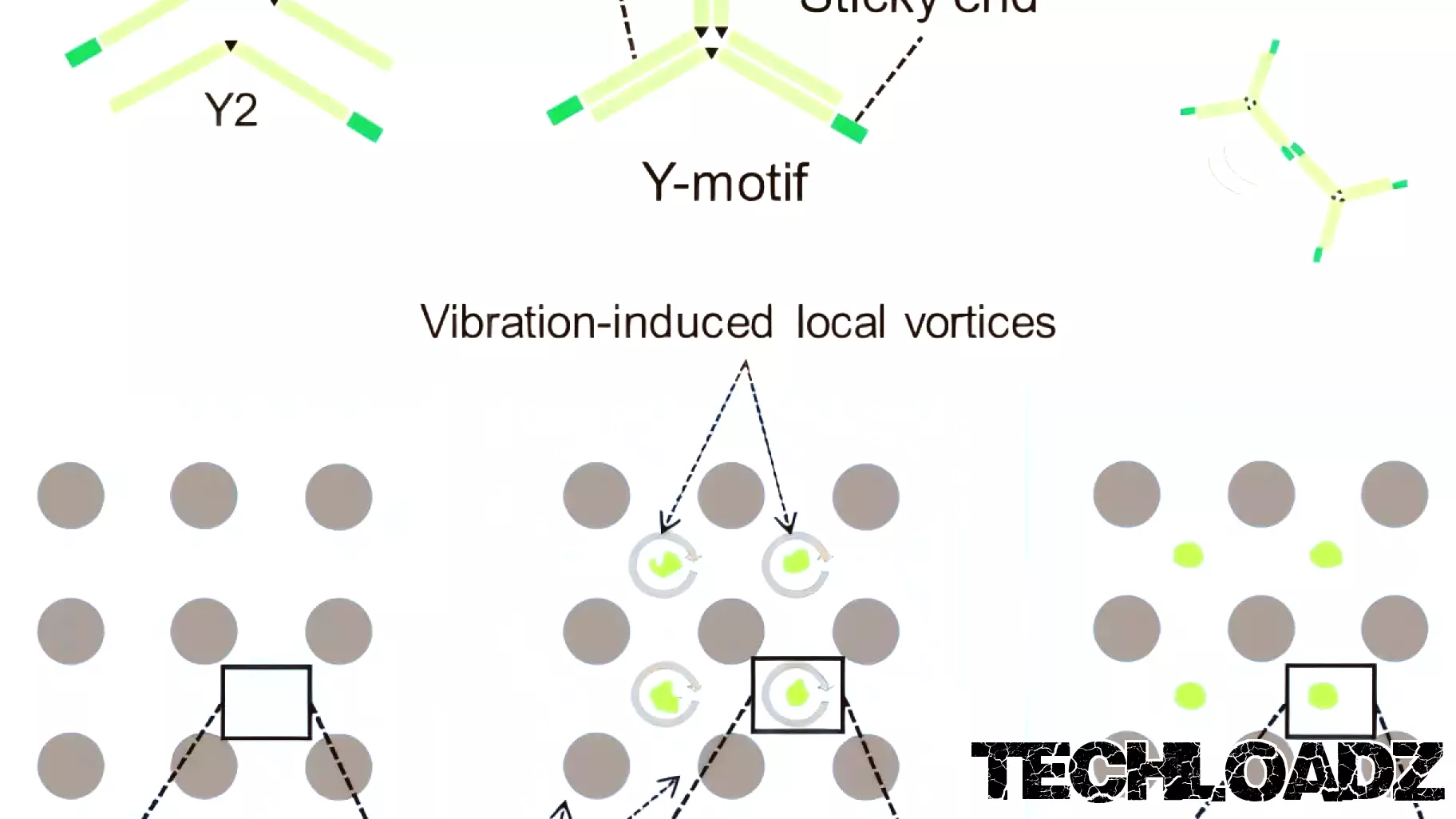 Breakthrough in Microfluidics Technology for DNA Condensate Production