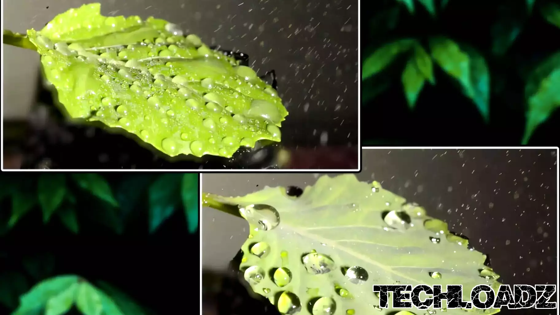 Innovative Spray Technology Enhances Pesticide Adhesion, Minimizing Environmental Impact