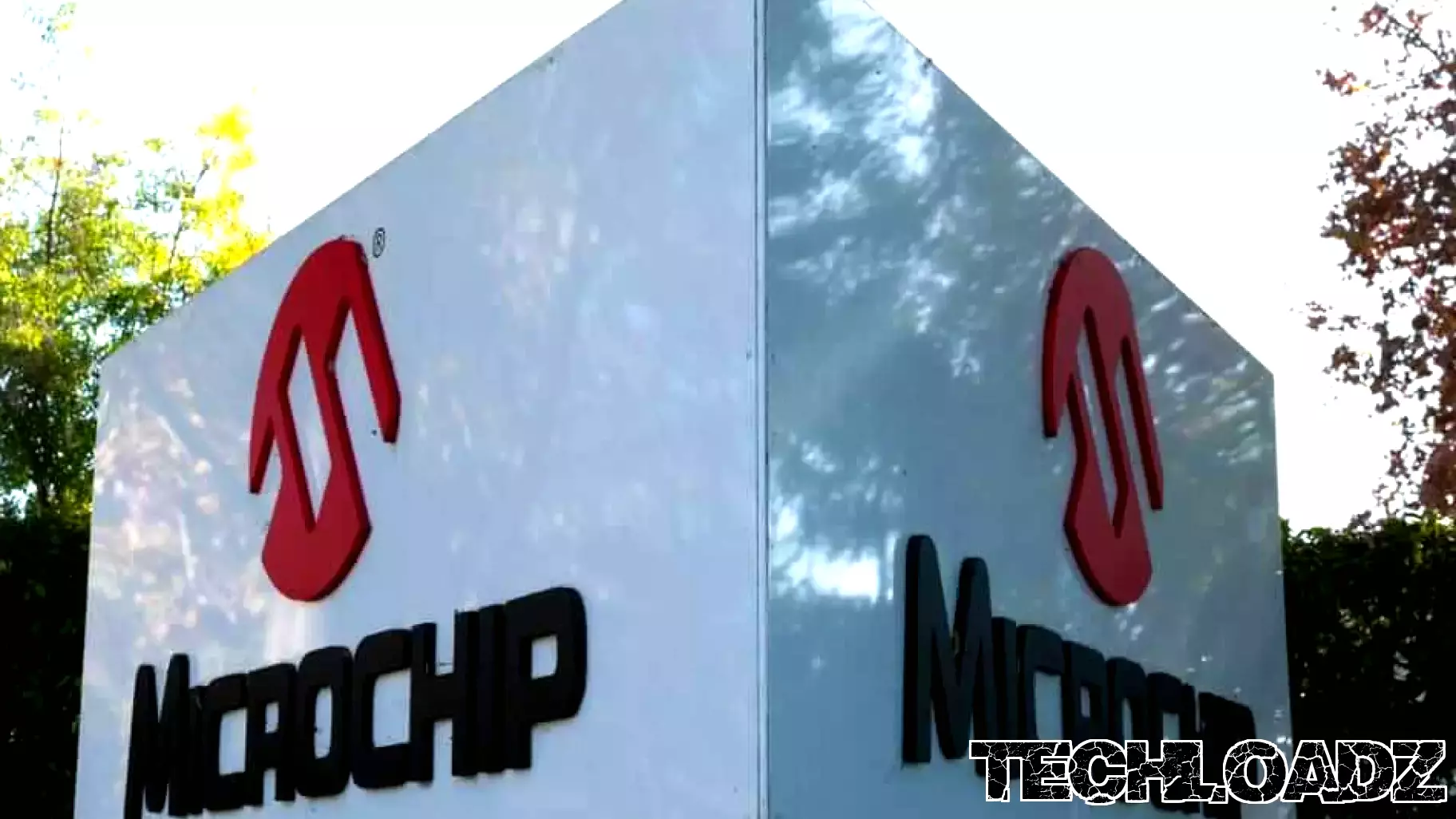 Microchip Technology Stock: Is MCHP Outperforming the Technology Sector?