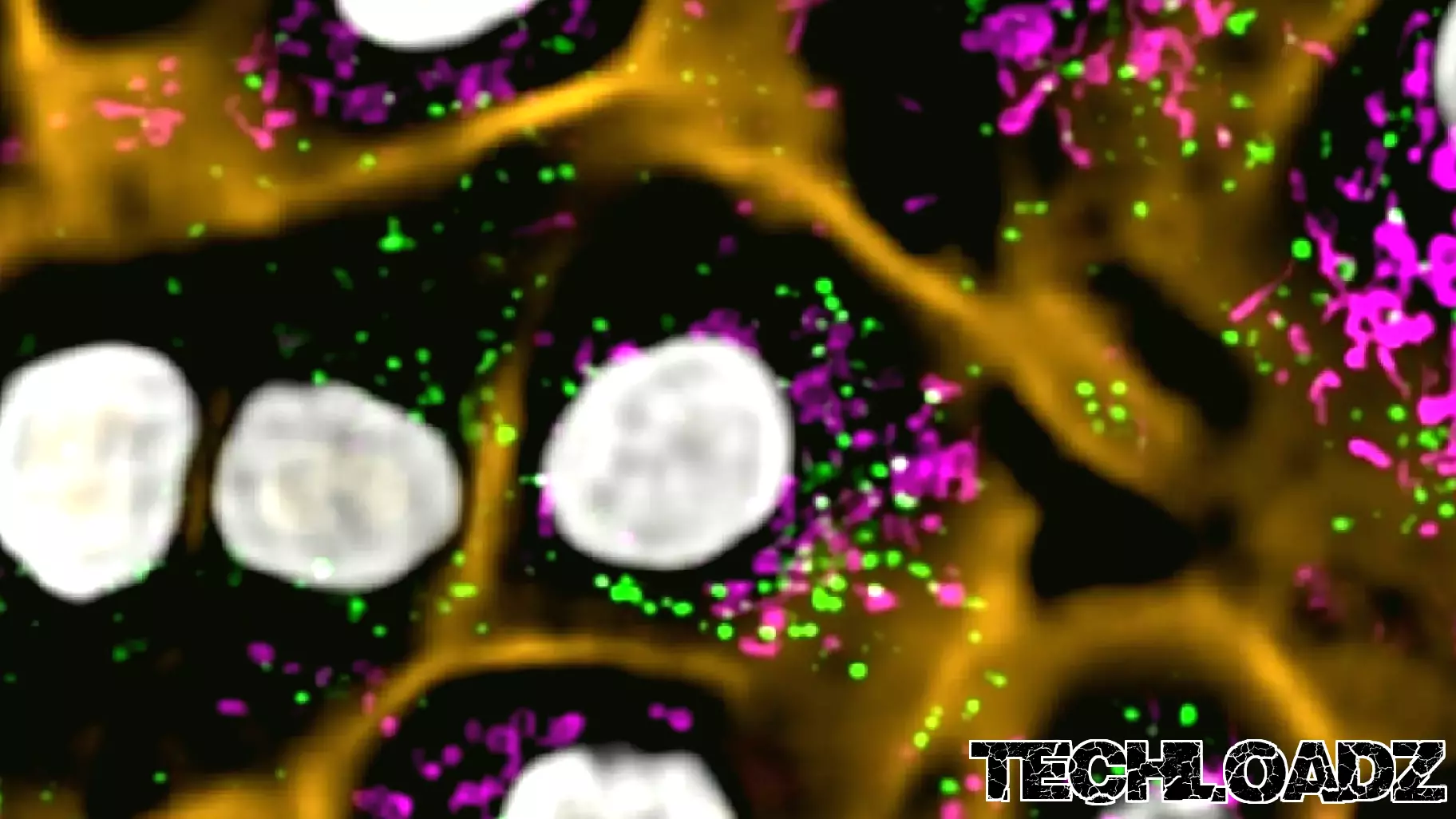 Revolutionizing Life Science Imaging: A New Era for Research