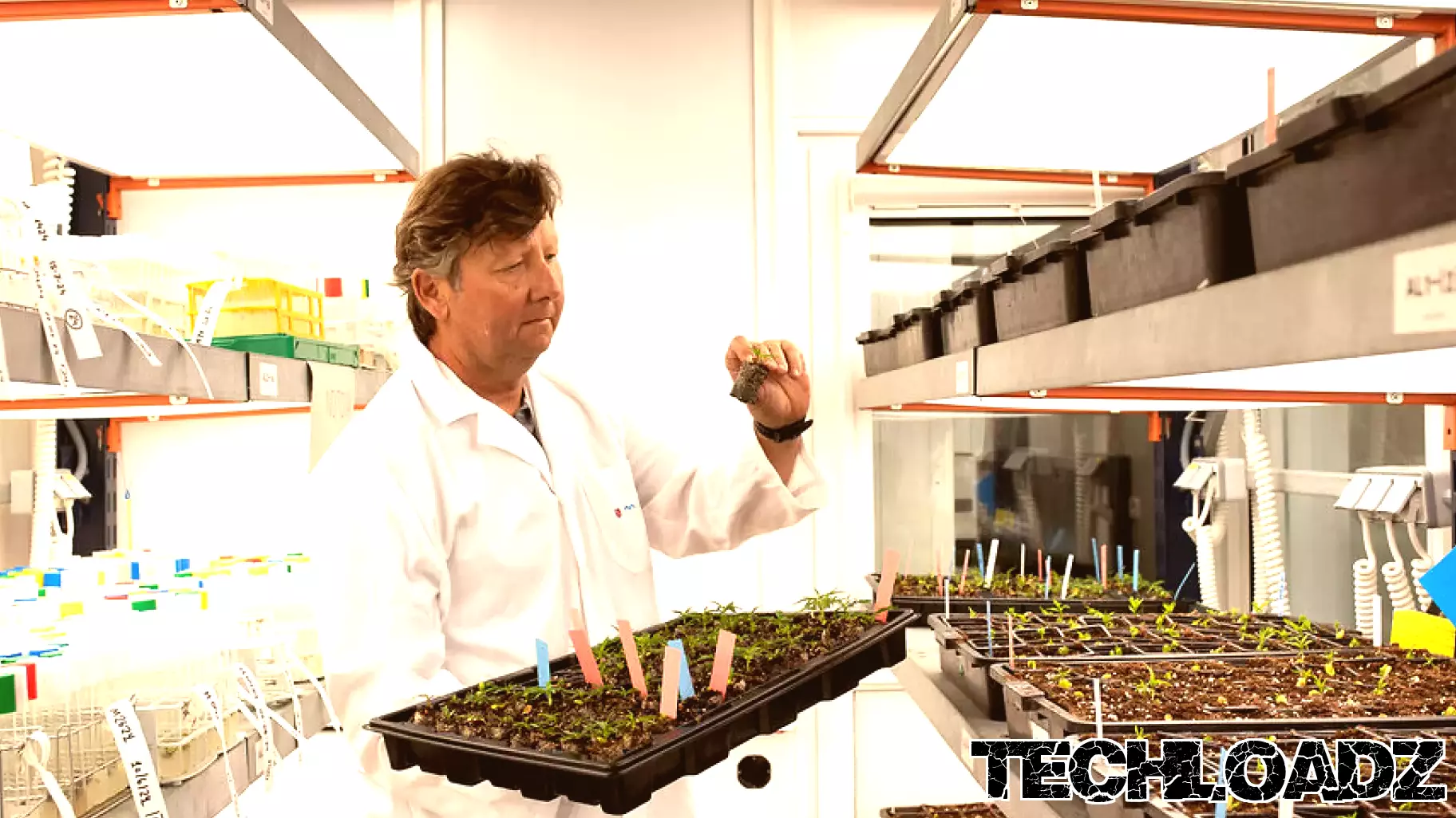 Southeastern Spain has a dry landscape. Sensor technology is bearing fruit.