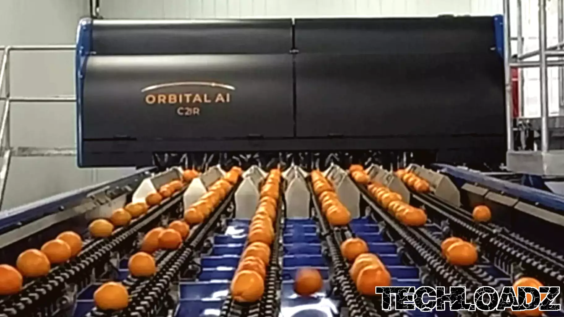 Sunkist Growers Expands Innovation Through Investment in Sienz