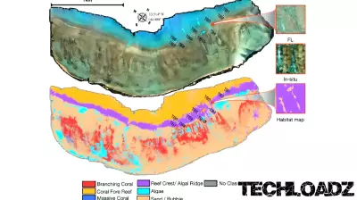 Advanced Imaging Tools Change How Scientists Track Coral Reef Health