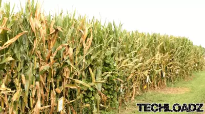 Ag technology continues to refine inputs