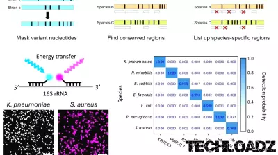 Breakthrough Diagnostic Technology Offers Rapid Pathogen Identification with Near-Perfect Accuracy