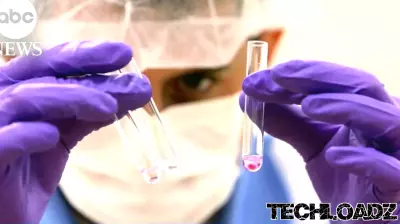 Breakthrough DNA technology identifies 9|11 victim's remains nearly 25-years later