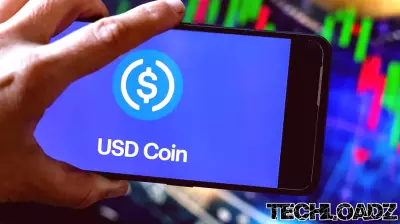 Circle CEO Highlights the Significant Growth of USD Coin