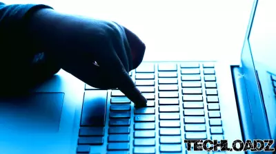 Combating Online Misogyny: Insights from Safety Expert
