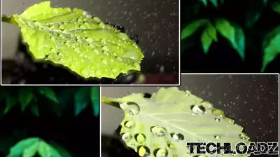 Innovative Spray Technology Enhances Pesticide Adhesion, Minimizing Environmental Impact