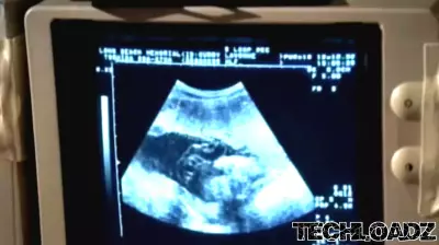 Innovative Tools at Columbia University Aim to Prevent Pregnancy Complications