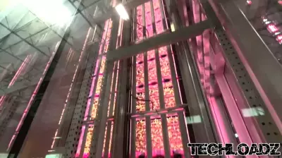 Innovative Warehouse Technology Revolutionizes Greens Production