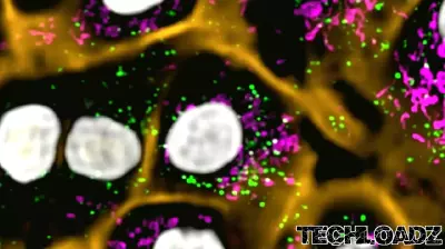 Revolutionizing Life Science Imaging: A New Era for Research
