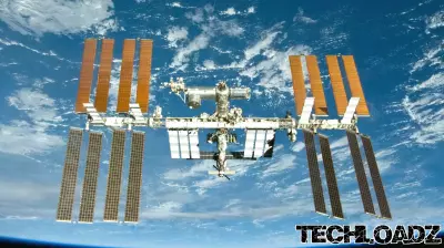 Space medicine breakthrough? Kidney and liver tissue bioprinted off Earth for 1st time ever