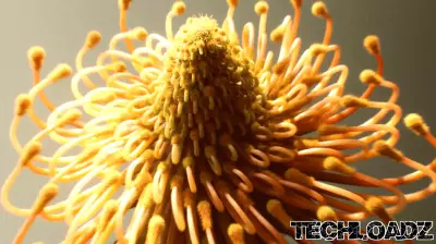 The Intersection of Technology and Nature in Zachary Corzine's 'Faux Flora'